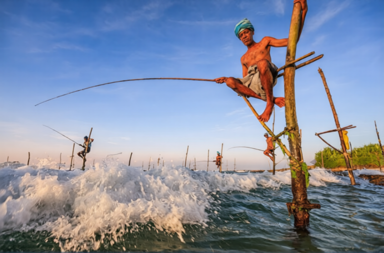 Sun, Surf, and Secret Coves: The Ultimate Guide to Southern Sri Lanka